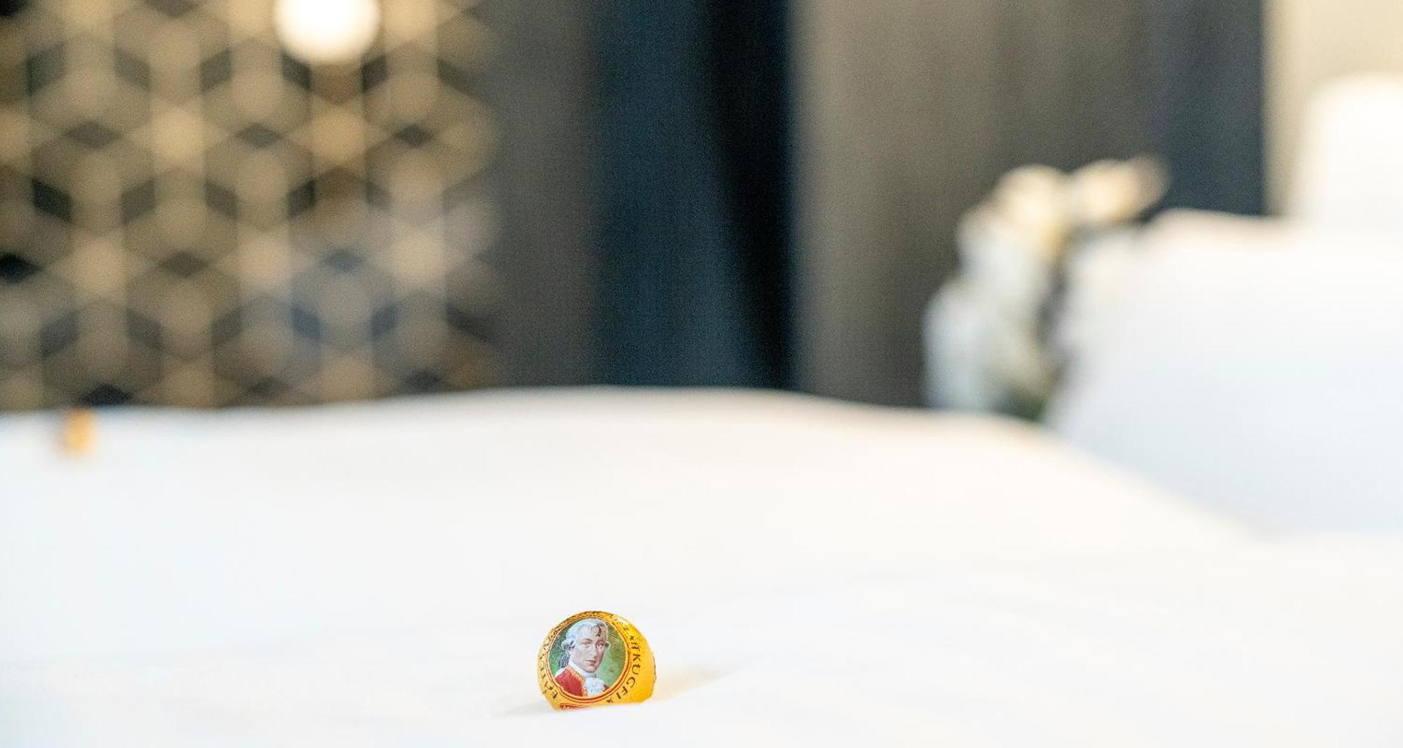Plaza Inn Salzburg City Стая снимка