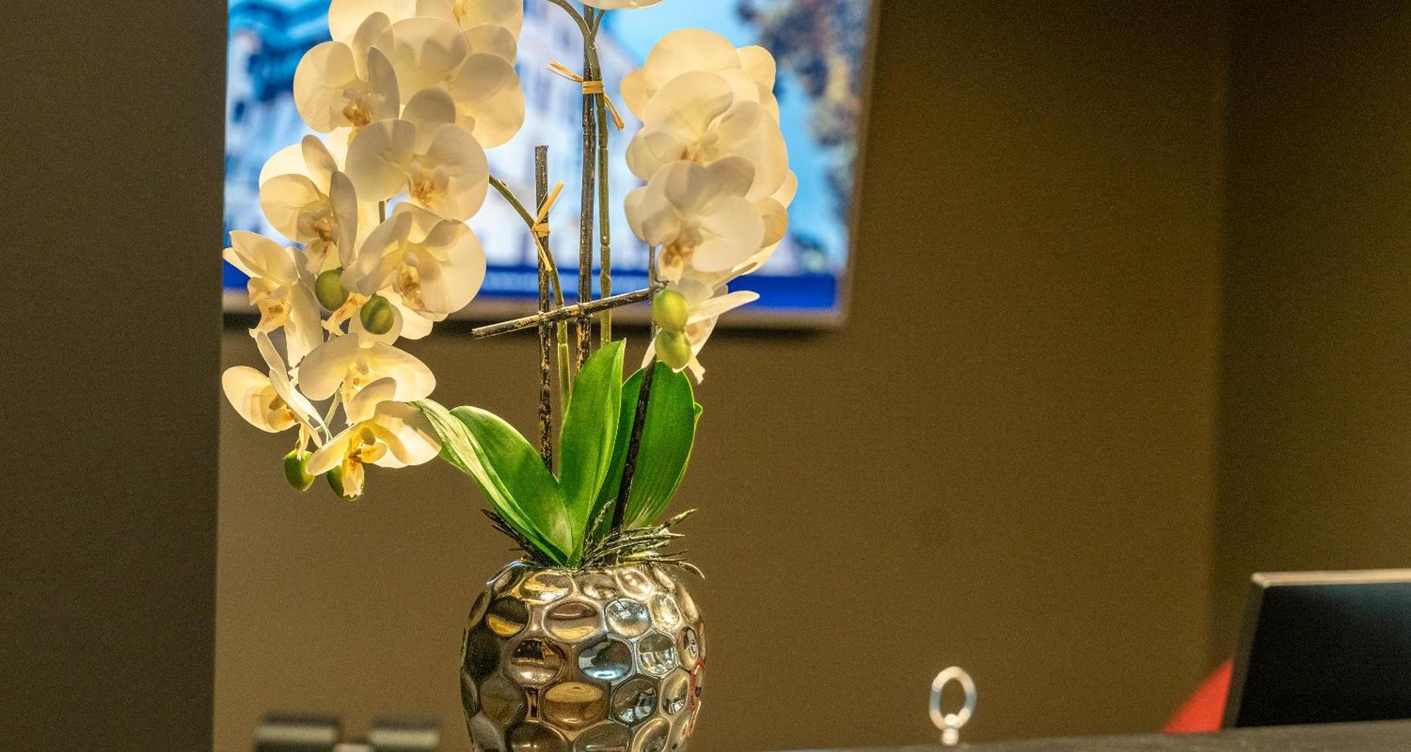 Plaza Inn Salzburg City Екстериор снимка